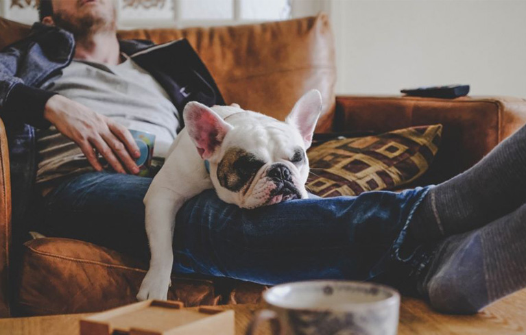 Mann ruht sich auf der Coach zusammen mit seinem Hund aus