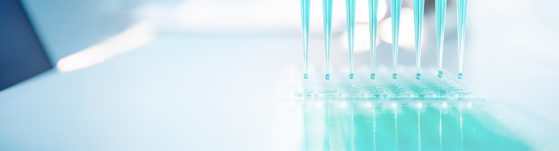 Mehrere Pipetten einer Multikanal-Pipette geben gleichzeitig blaue Flüssigkeit in ein Laborgefäß ab.