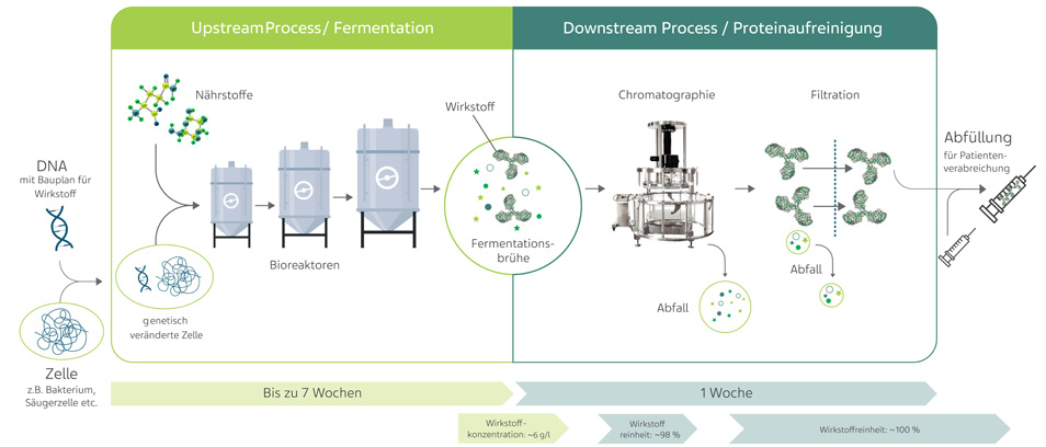 Infographik BMSO Ulm