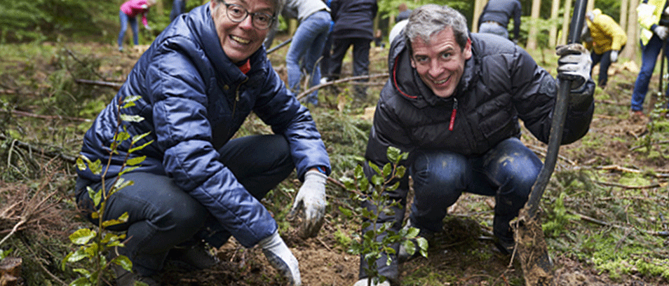 Pflanzung von 1.000 Rotbuchen im Blaubeurer Stadtwald